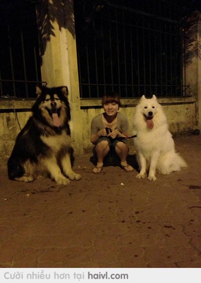 Nào mình cùng cười :))