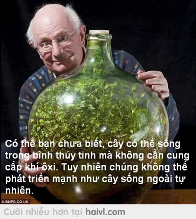 Có thể hơi ảo nhưng đó là sự thật! :)