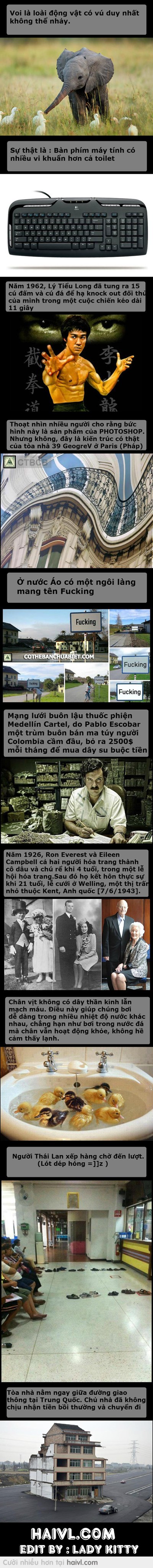 Fun Fact! (p49)
