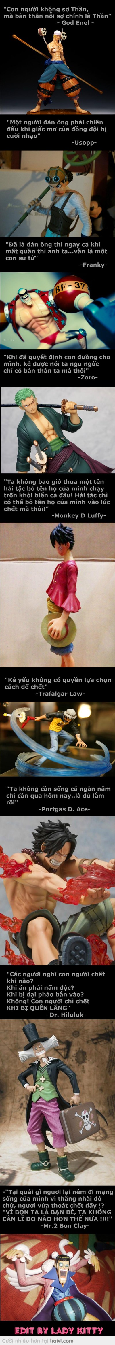 Tặng fan One Piece <3
