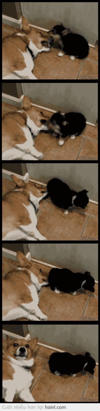 Vũ khí lợi hại=))