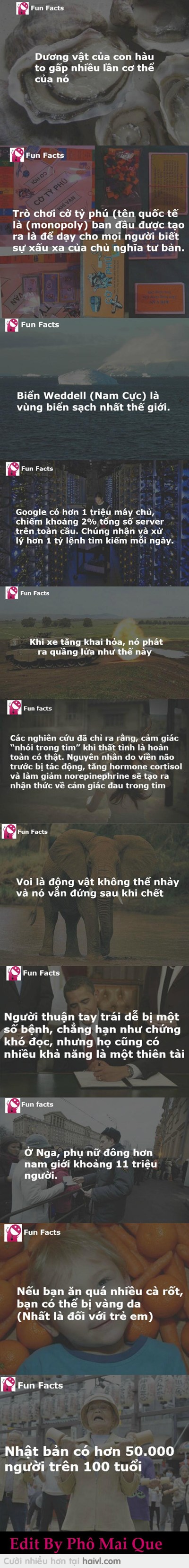 Fun Fact! (p50)