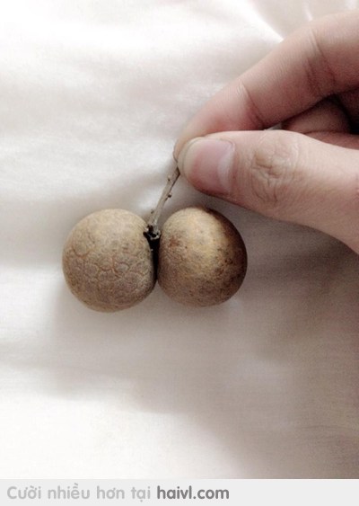 Cho trí tưởng tượng bay xa :P