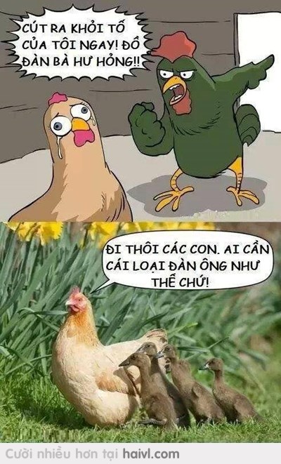 Ai cần thứ đàn ông ko quan tâm đến vợ con thế này :v