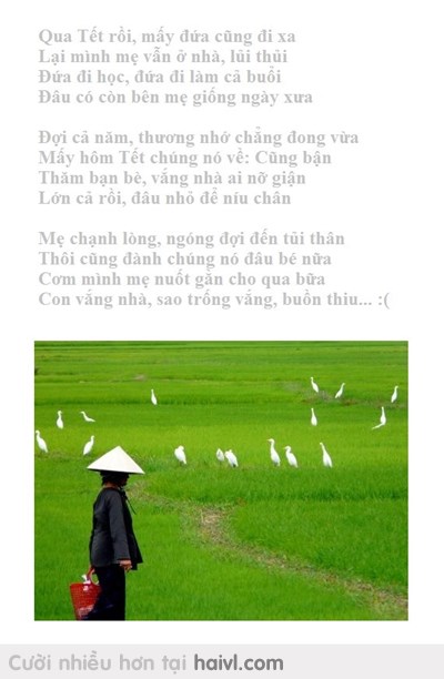 Nhiều bạn vẫn hay nói " tết là để về nhà "