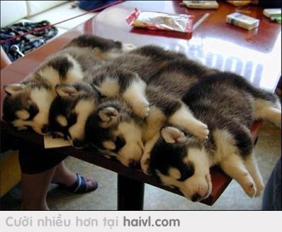 D'aww