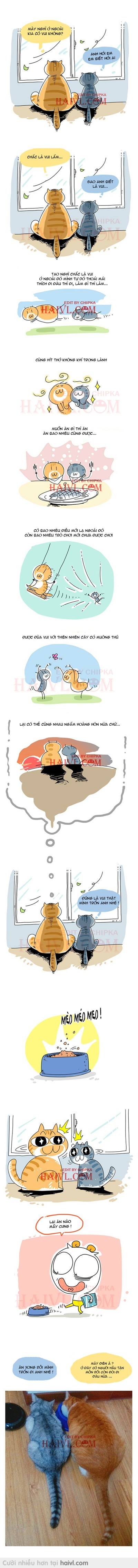 Kế hoạch bỏ trốn của 2 pé mèo :*