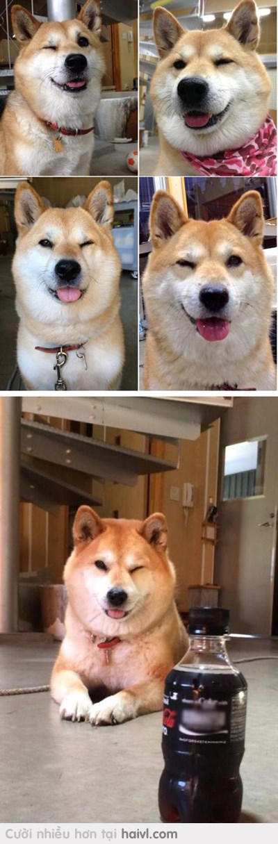 Khi cô đơn có em này làm bạn thì vít số !! :x