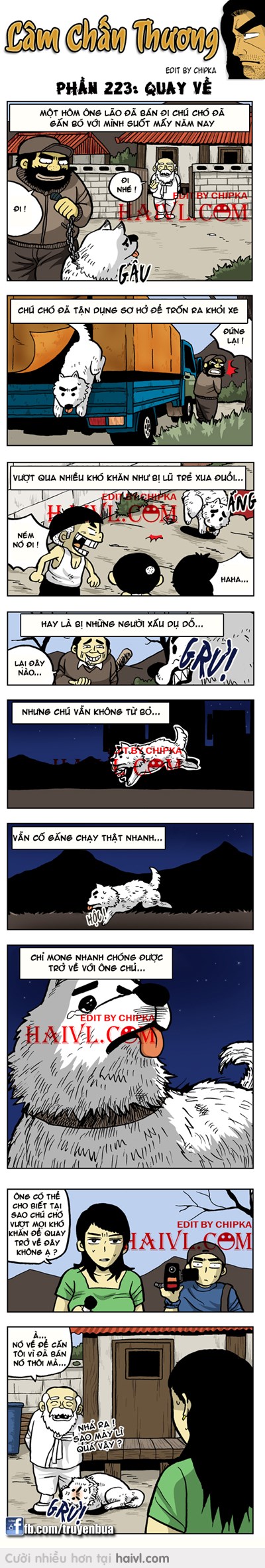 Cảm động chú chó vượt bao khó khăn tìm về với chủ :((
