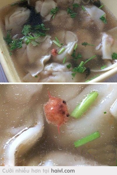 Thằng bạn nó bảo Phở ở đây họ cho cả con cua các bác ạ :((