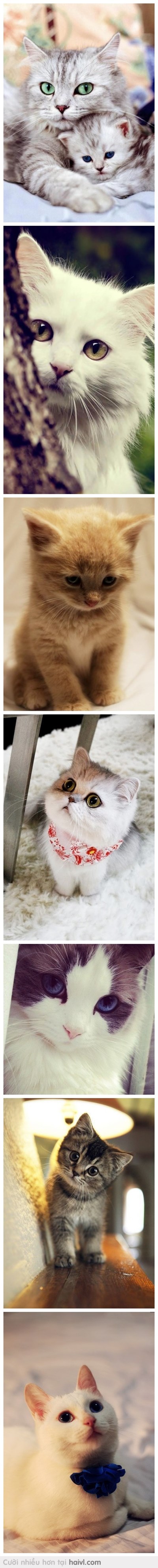 Sao các em lại buồn thế? Có tâm sự gì à?:(