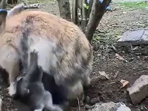 Không phí 6p23s của bạn đâu :)